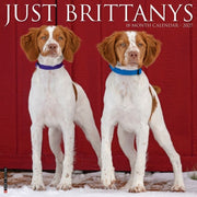 Brittanys 2027 Wall By Willow Creek Press