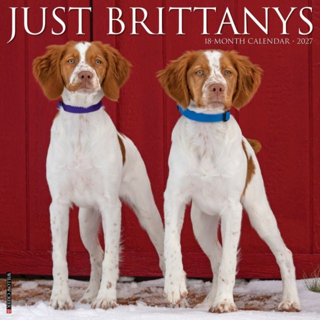 Brittanys 2027 Wall By Willow Creek Press