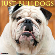 Bulldogs 2027 Wall By Willow Creek Press