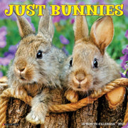 Bunnies 2027 Wall By Willow Creek Press