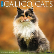 Calico Cats 2027 Wall By Willow Creek Press