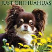 Chihuahuas 2027 Wall By Willow Creek Press