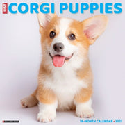 Corgi Puppies 2027 Wall By Willow Creek Press