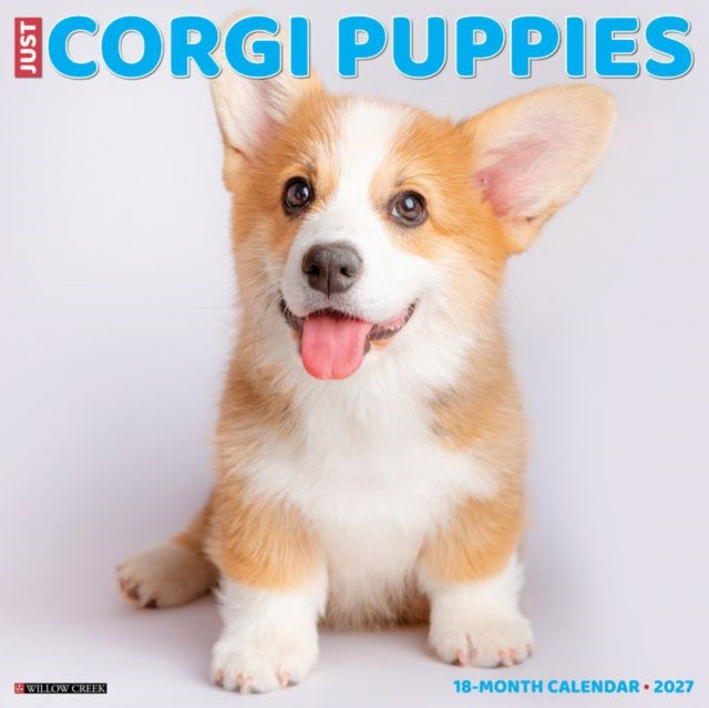 Corgi Puppies 2027 Wall By Willow Creek Press