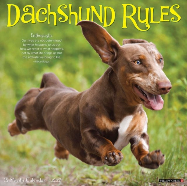 Dachshund Rules 2027 Wall By Willow Creek Press