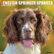 English Springer Spaniels 2027 Wall By Willow Creek Press