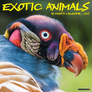 Exotic Animals 2027 Wall By Willow Creek Press