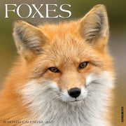 Foxes 2027 Wall By Willow Creek Press