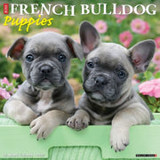 French Bulldog Puppies 2027 Wall By Willow Creek Press