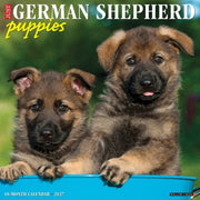 German Shepherd Puppies 2027 Wall By Willow Creek Press