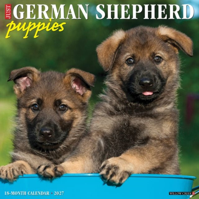German Shepherd Puppies 2027 Wall By Willow Creek Press