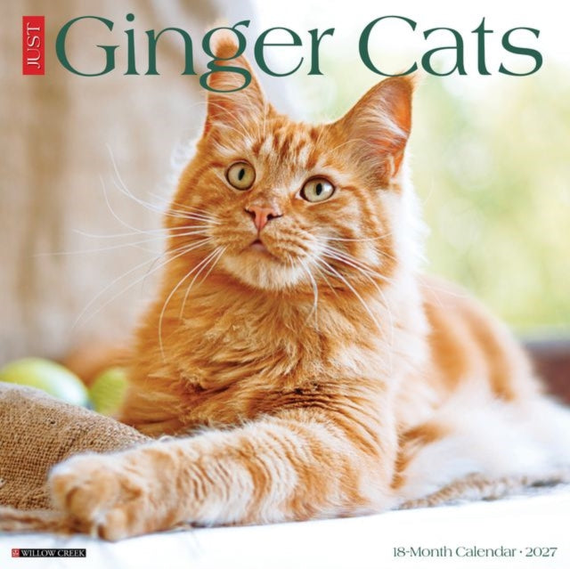 Ginger Cats 2027 Wall By Willow Creek Press