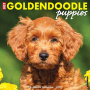 Goldendoodle Puppies 2027 Wall By Willow Creek Press