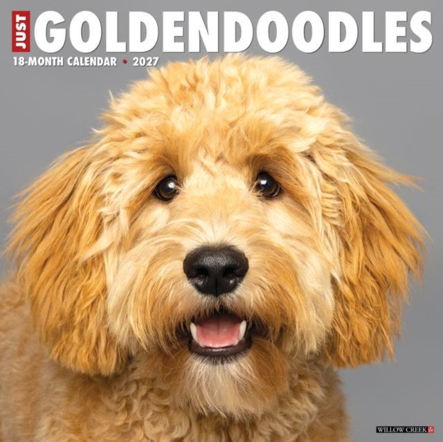 Goldendoodles 2027 Wall By Willow Creek Press