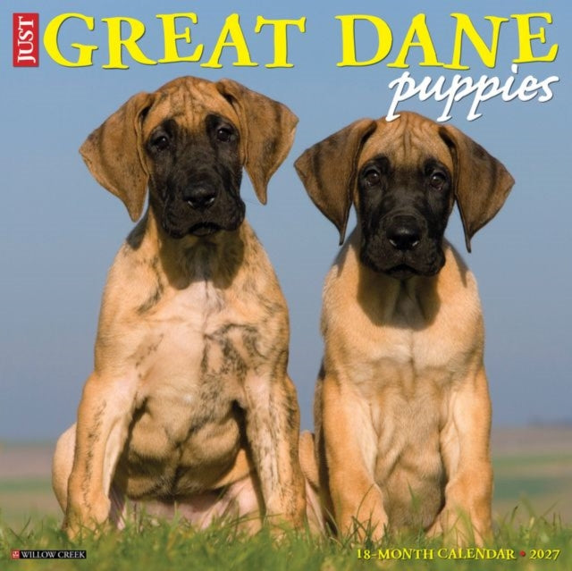 Great Dane Puppies 2027 Wall By Willow Creek Press