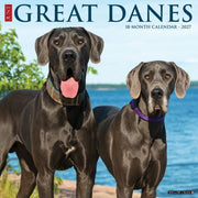 Great Danes 2027 Wall By Willow Creek Press
