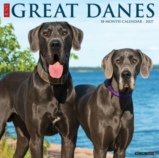 Great Danes 2027 Wall By Willow Creek Press