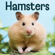 Hamsters 2027 Wall By Willow Creek Press