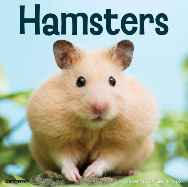 Hamsters 2027 Wall By Willow Creek Press