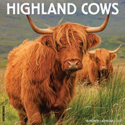 Highland Cows 2027 Wall By Willow Creek Press