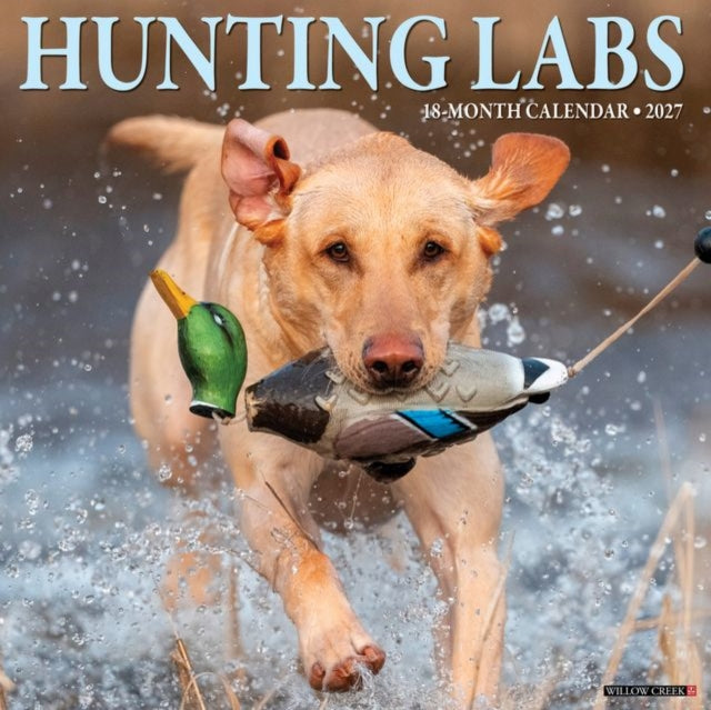 Hunting Labs 2027 Wall By Willow Creek Press