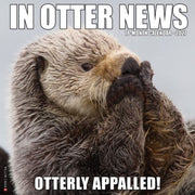 In Otter News 2027 Wall By Willow Creek Press