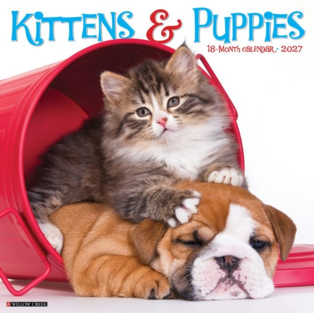 Kittens Puppies 2027 Wall By Willow Creek Press