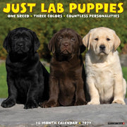 Lab Puppies 2027 Wall By Willow Creek Press
