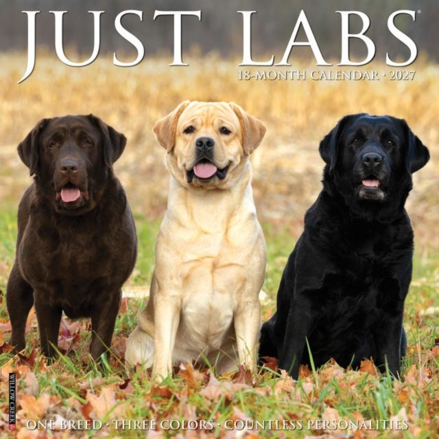 Labs 2027 Wall By Willow Creek Press