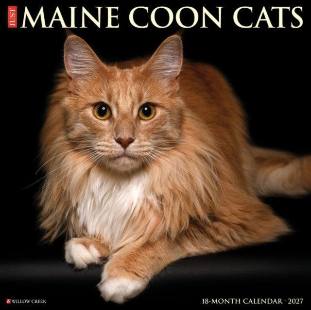 Maine Coon Cats 2027 Wall By Willow Creek Press