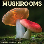 Mushrooms 2027 Wall By Willow Creek Press