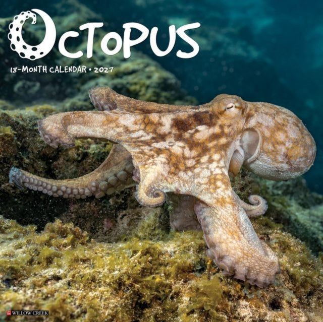 Octopus 2027 Wall By Willow Creek Press