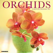 Orchids 2027 Wall By Willow Creek Press