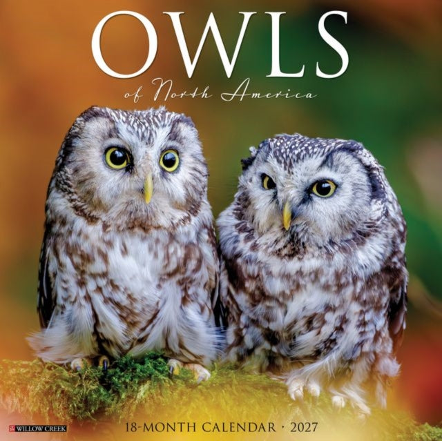 Owls Of North America 2027 Wall By Willow Creek Press