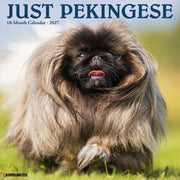 Pekingese 2027 Wall By Willow Creek Press