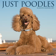 Poodles 2027 Wall By Willow Creek Press
