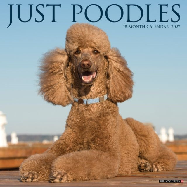 Poodles 2027 Wall By Willow Creek Press