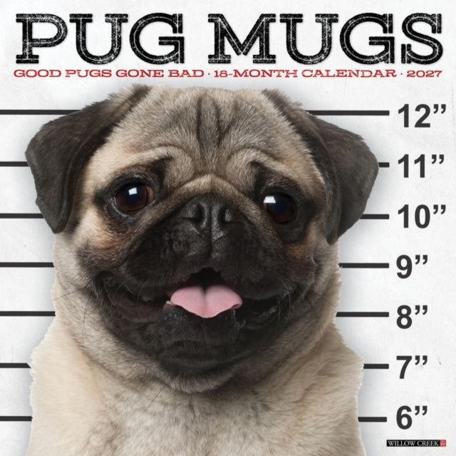 Pug Mugs 2027 Wall By Willow Creek Press