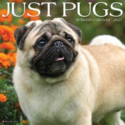 Pugs 2027 Wall By Willow Creek Press