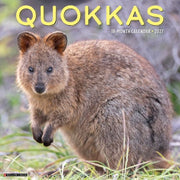 Quokkas 2027 Wall By Willow Creek Press
