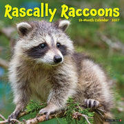 Rascally Raccoons 2027 Wall By Willow Creek Press