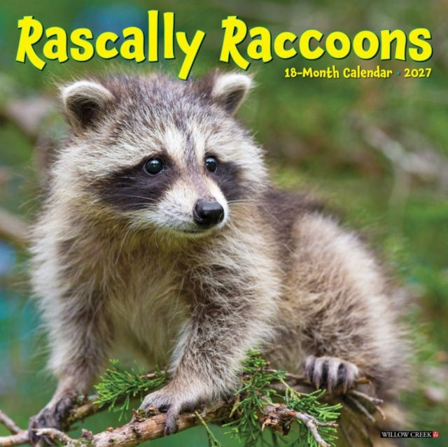 Rascally Raccoons 2027 Wall By Willow Creek Press