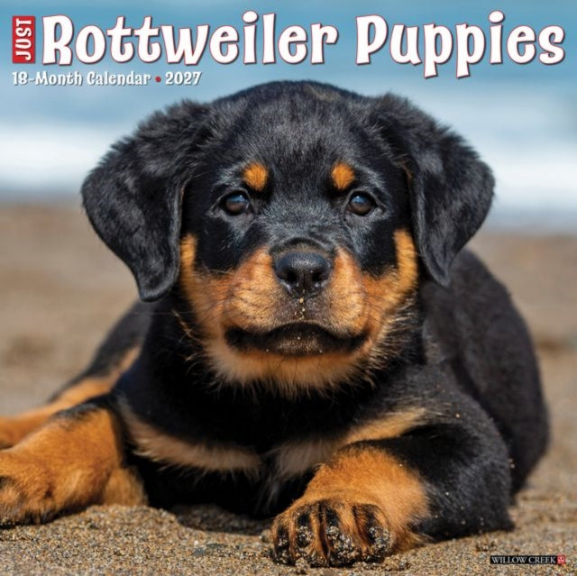 Rottweiler Puppies 2027 Wall By Willow Creek Press