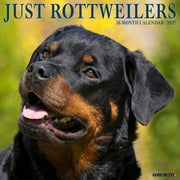 Rottweilers 2027 Wall By Willow Creek Press