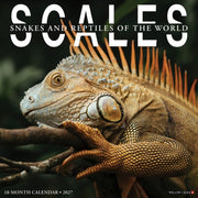 Scales 2027 Wall By Willow Creek Press