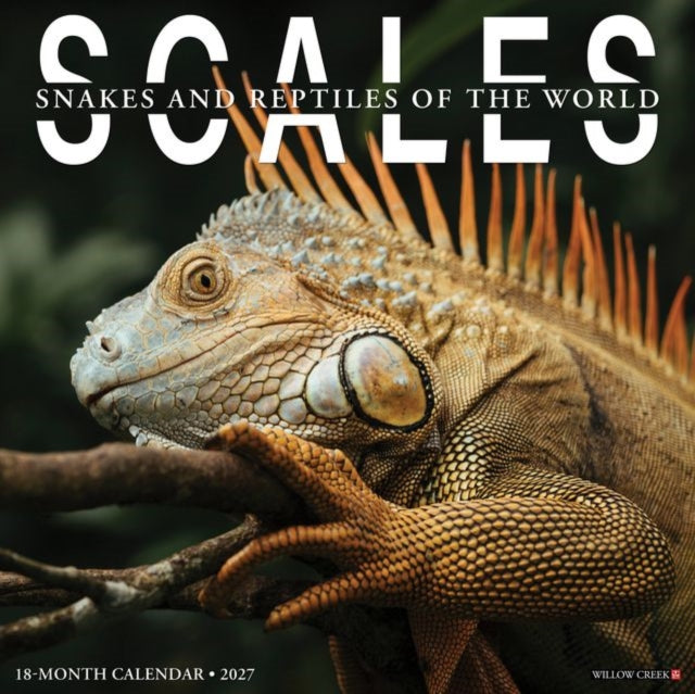 Scales 2027 Wall By Willow Creek Press