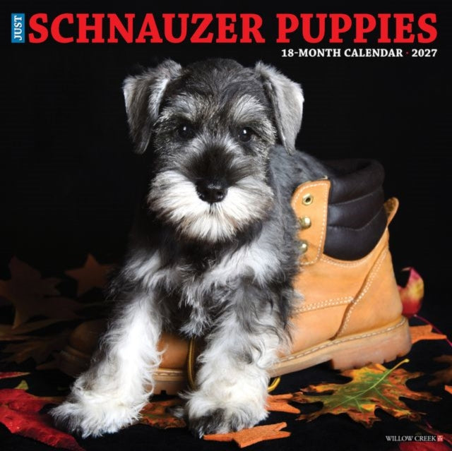 Schnauzer Puppies 2027 Wall By Willow Creek Press