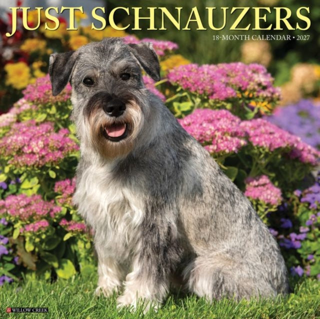 Schnauzers 2027 Wall By Willow Creek Press