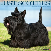 Scotties 2027 Wall By Willow Creek Press
