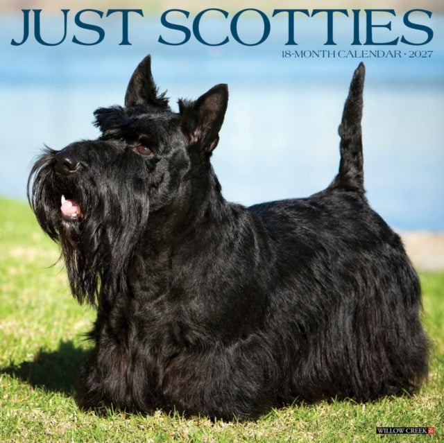 Scotties 2027 Wall By Willow Creek Press